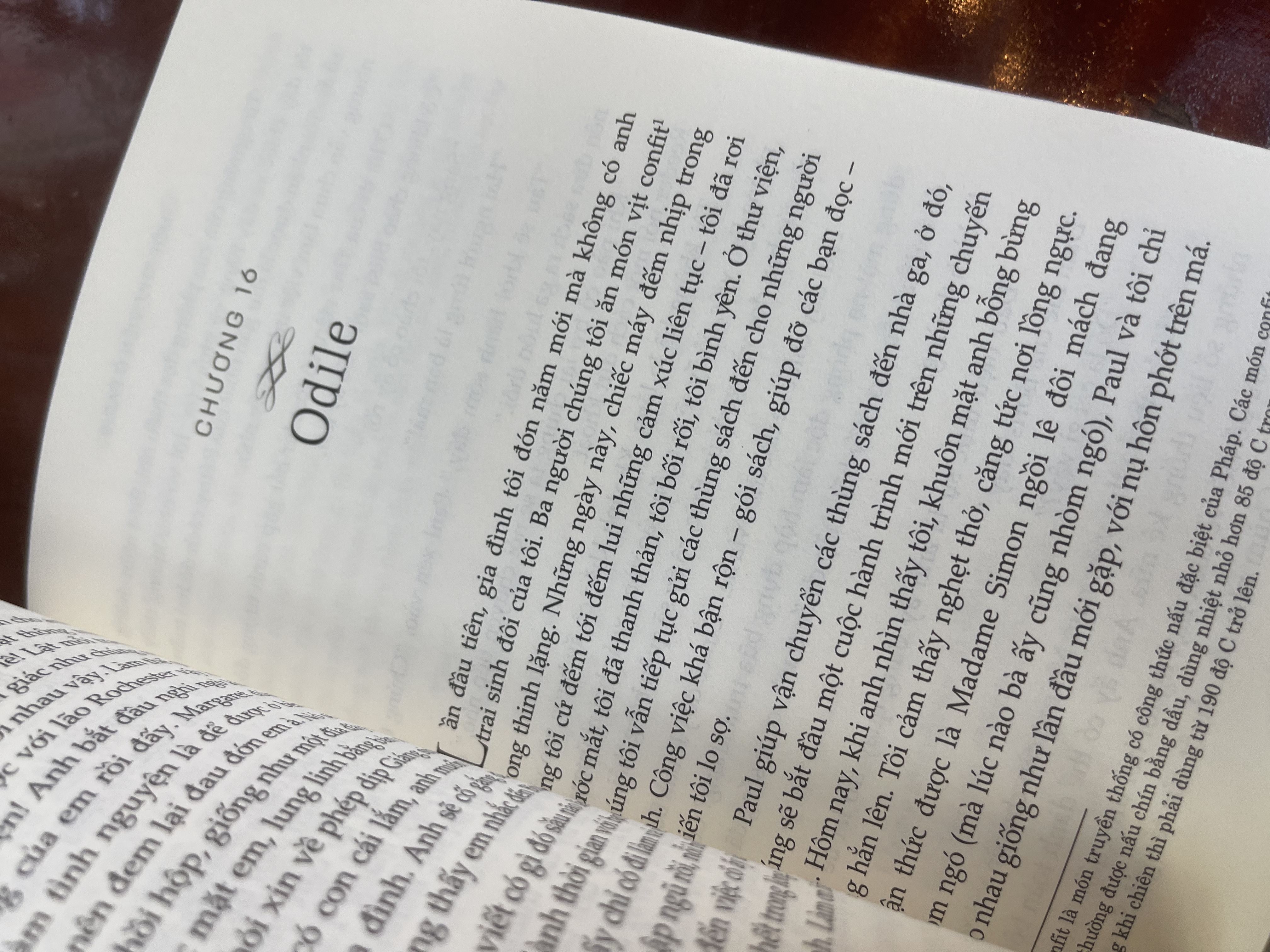 MỘT THƯ VIỆN Ở PARIS – Janet Skeslien Charles – New York Times Bestseller - Tân Việt – NXB Văn Học