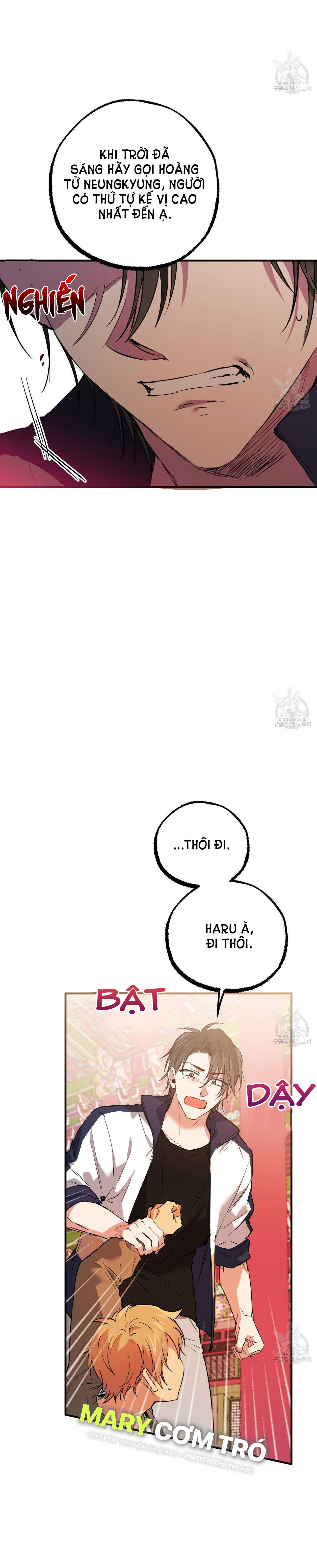 những chú thỏ của hapypy chapter 62.2 21