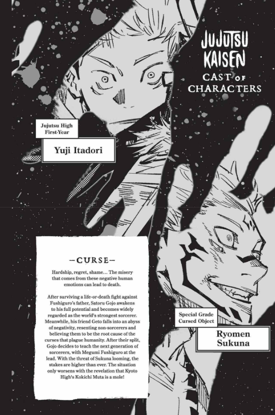 Jujutsu Kaisen 10 (English Edition)