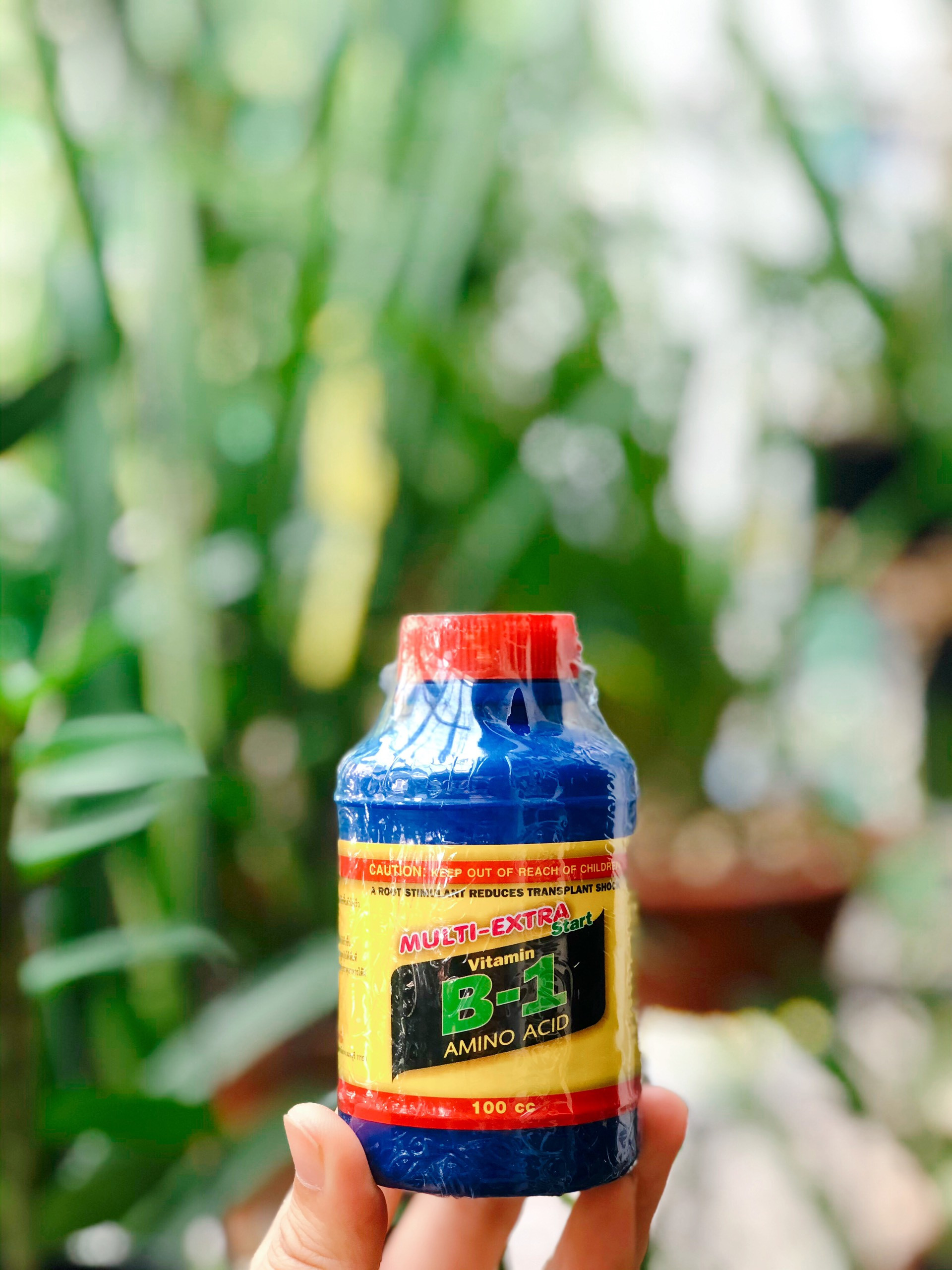 COMBO MÙA MƯA “ĐÁNH BAY” NỖI LO CHO CÂY