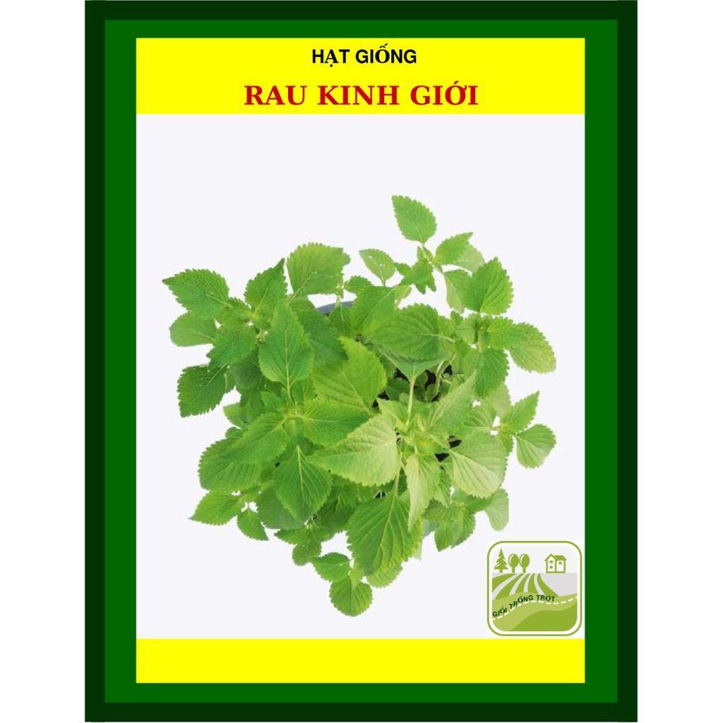 1 Gram- Hạt Giống Rau Kinh Giới