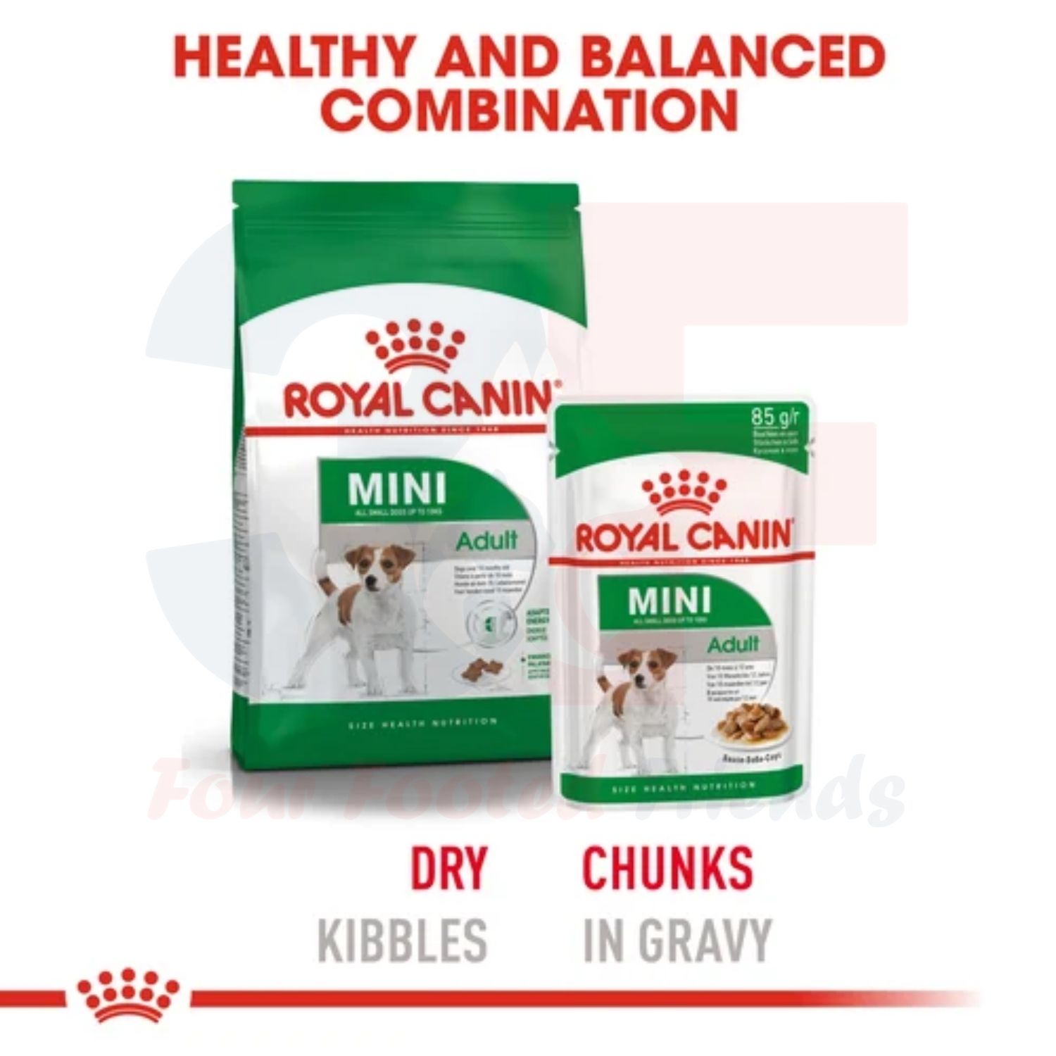 Pate Thức Ăn Ướt Dành Cho Chó Giống Nhỏ Trưởng Thành Royal Canin Mini Adult Dạng Sốt - Gói 85Gr