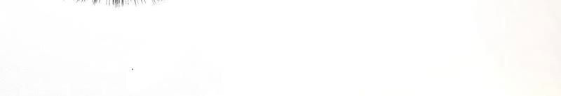 chiến lược lãng mạn của thịnh thiếu chapter 44 7