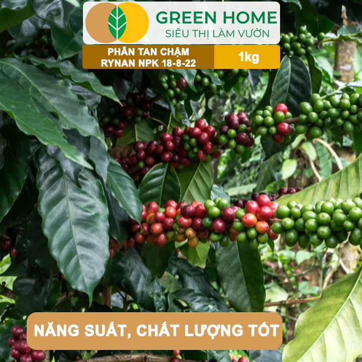 Phân Tan Chậm GreenHome, Rynan NPK 18-8-22, Túi 1kg, Dùng Cho Cây Ăn Trái,Cây Lâu Năm Phục Hồi Nhanh
