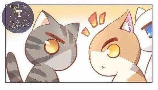 dưới móng vuốt mèo chapter 3 29