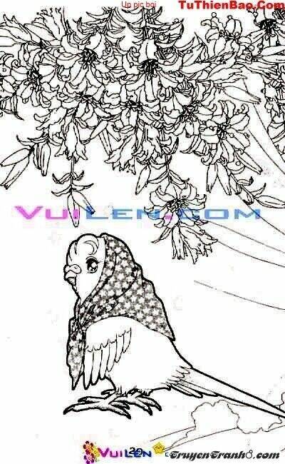 đóa hoa yêu kiều chapter 4 21