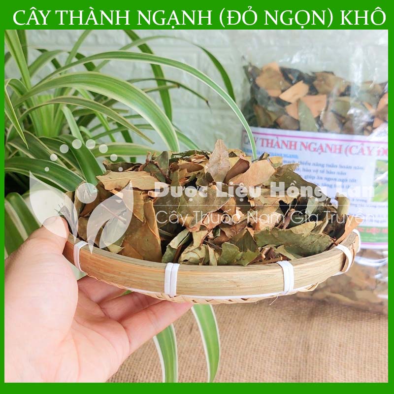 1kg Cây Đỏ Ngọn khô sạch loại 1