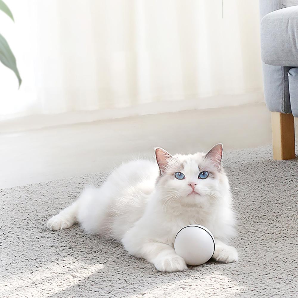 Bóng lăn đồ chơi cho mèo có đèn led và cổng sạc usb
