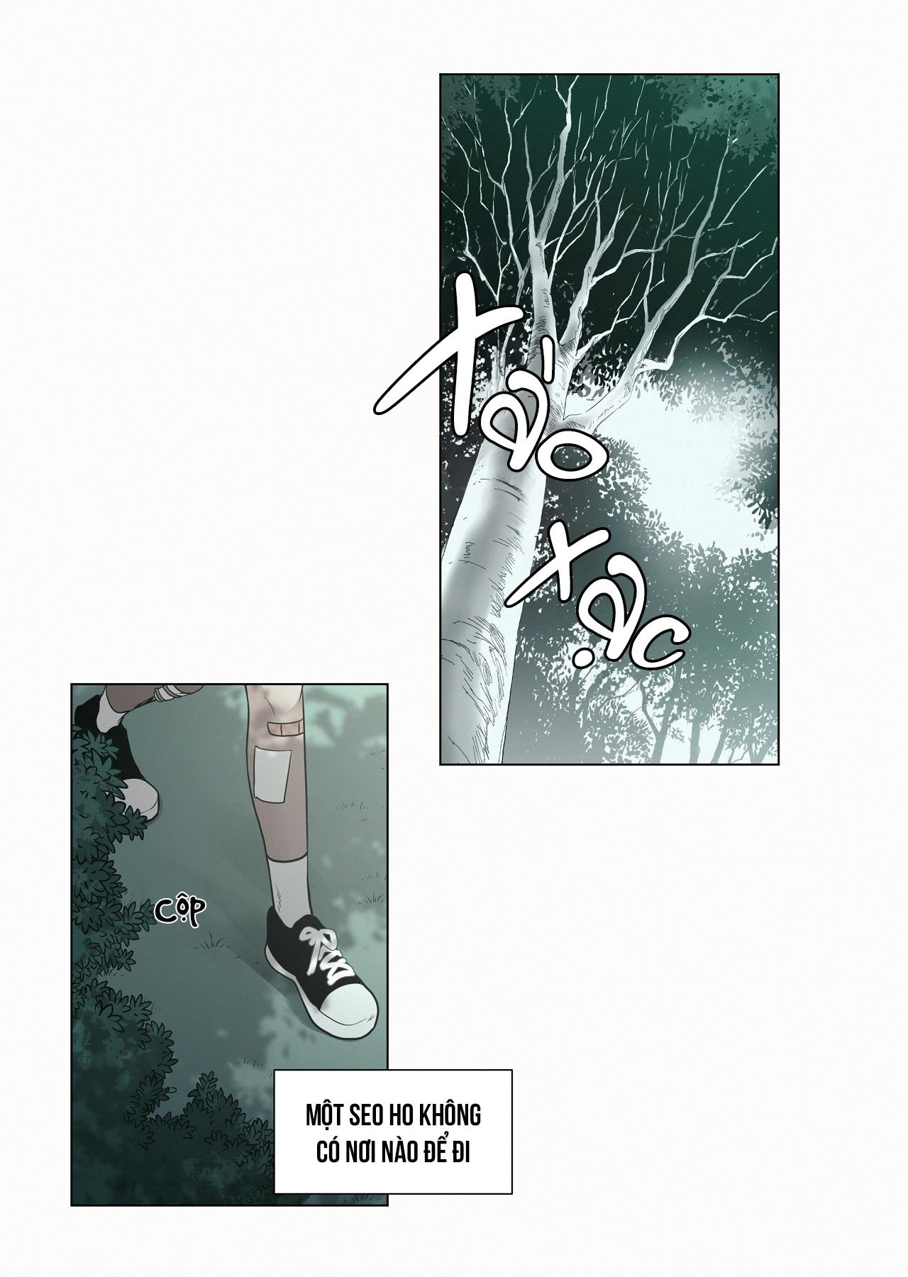 hiến tế máu chapter 28 11