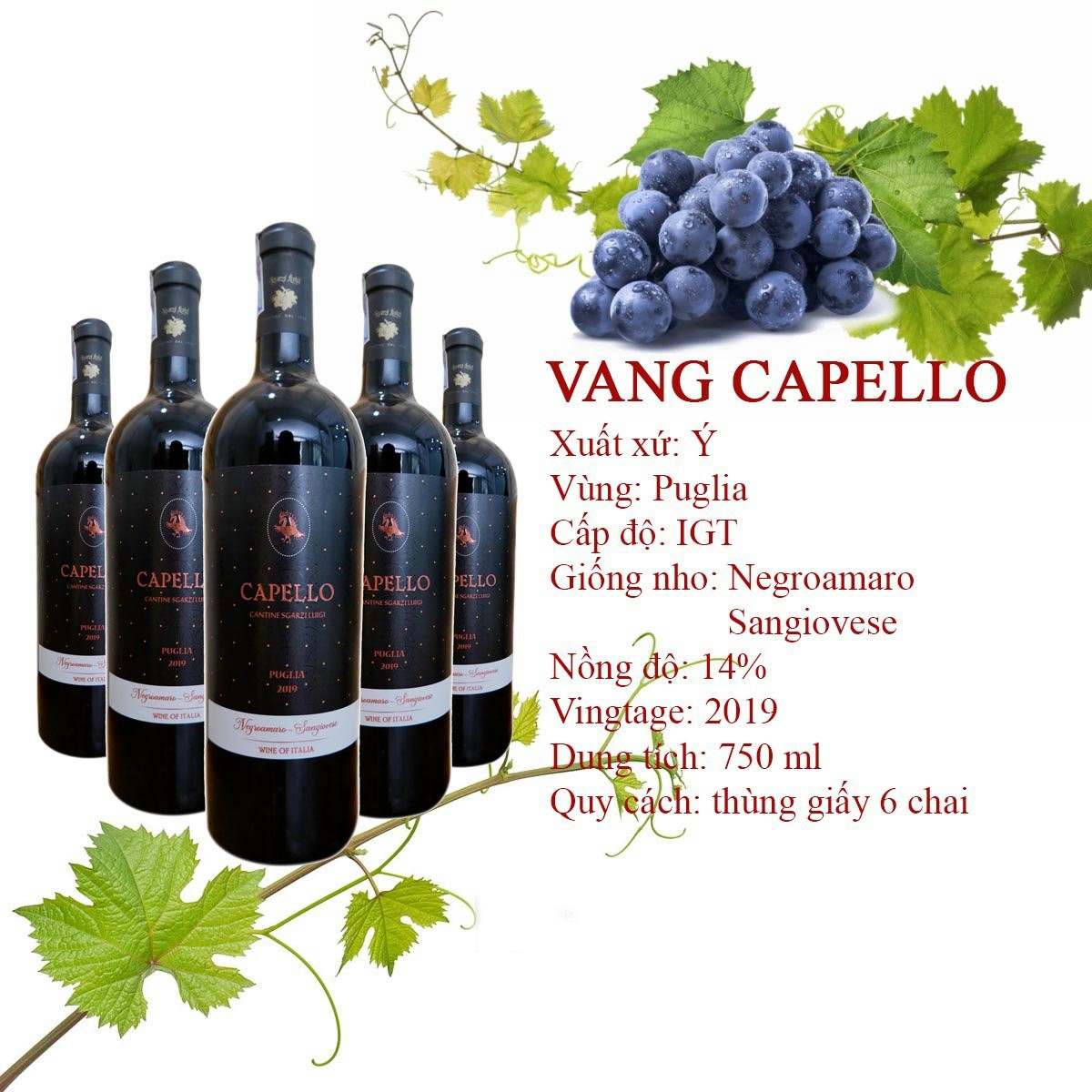 Rượu vang Ý Capello Rosso