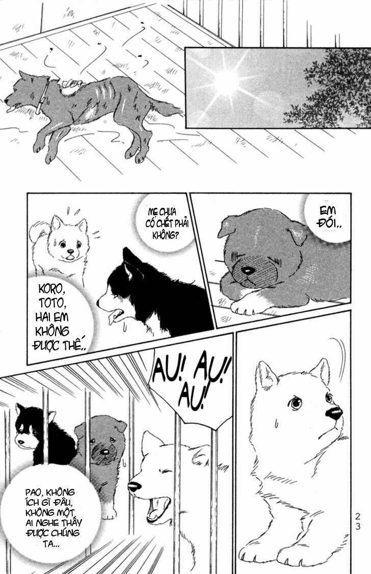 deep love - pao no monogatari chapter 1 26