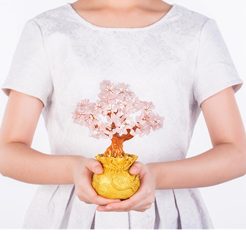 Cây Pha Lê Mini Tiền Theo Phong Cách Bonsai Phong Thủy Mang Lại Sự May Mắn