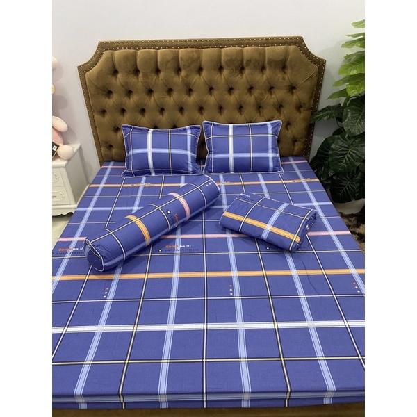 Sét chăn hè 5 món cotton 100%