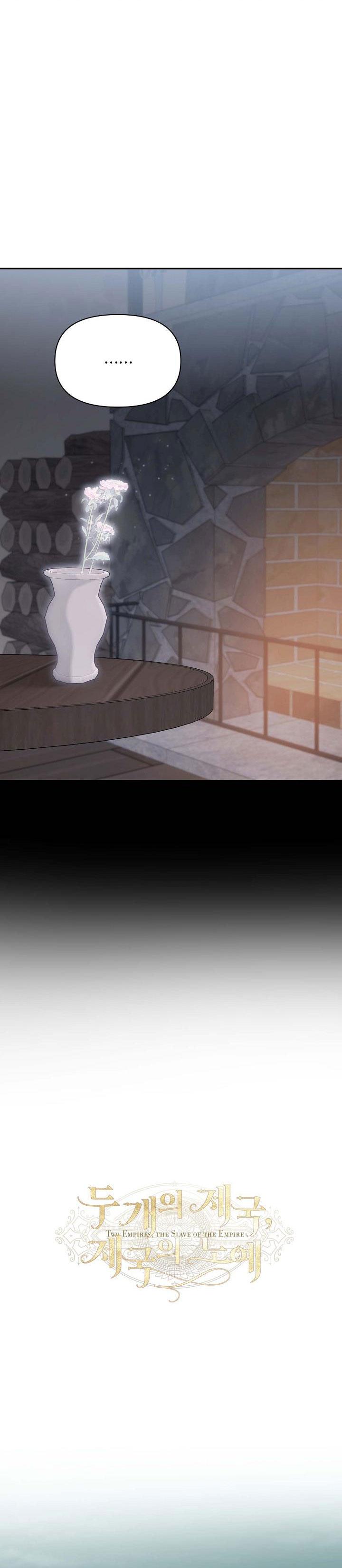 hai đất nước, đất nước của nô lệ chapter 39 13