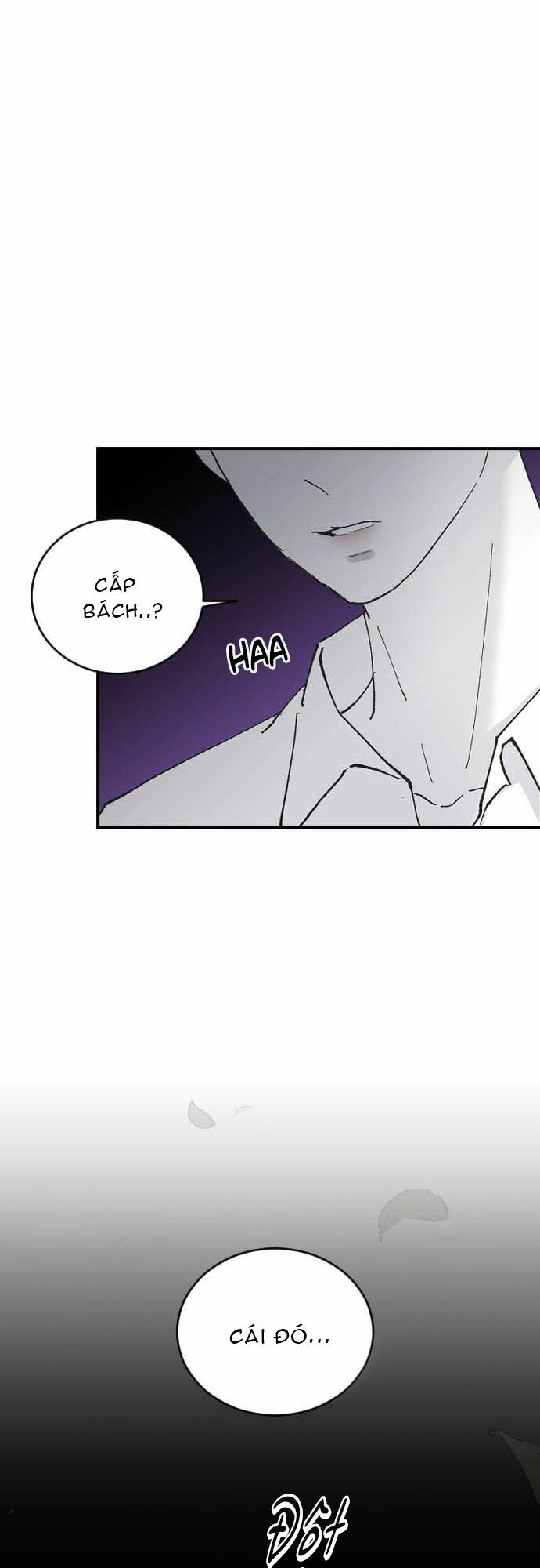 ba người anh trai cực phẩm của tôi chapter 20 55