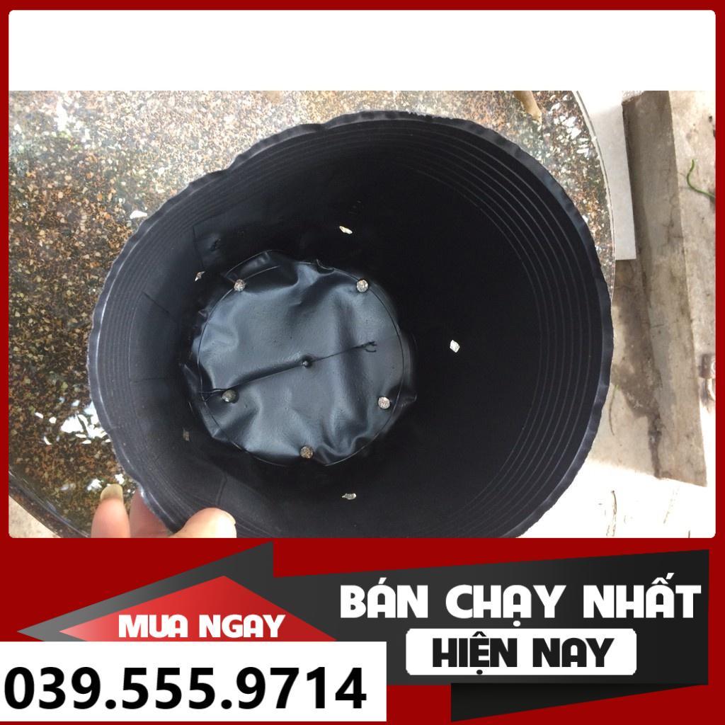 TÚI BẦU TRÒN ƯƠM CÂY 12X10 500G-TÁI SỬ DỤNG NHIỀU LÂN