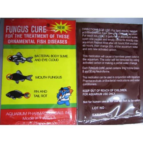 Fungus Cure tri benh cá nhiễm khuẩn nấm đục mắt thối rữa vây và đuôi