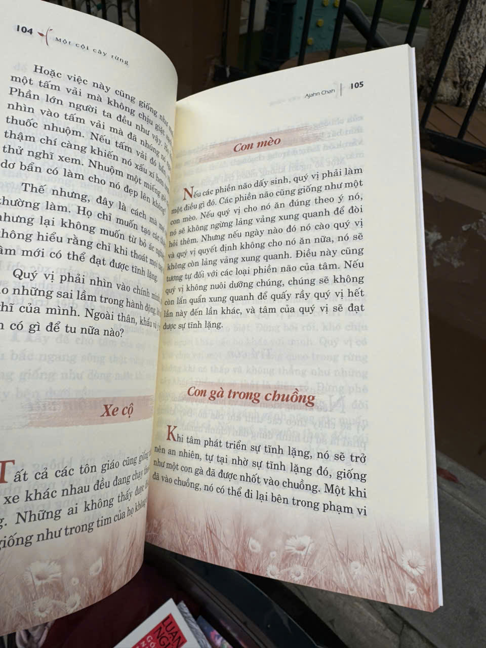 MỘT CỘI CÂY RỪNG – Ajahn Chah – Huỳnh Văn Thanh dịch - VanLangBooks - NXB Hồng Đức
