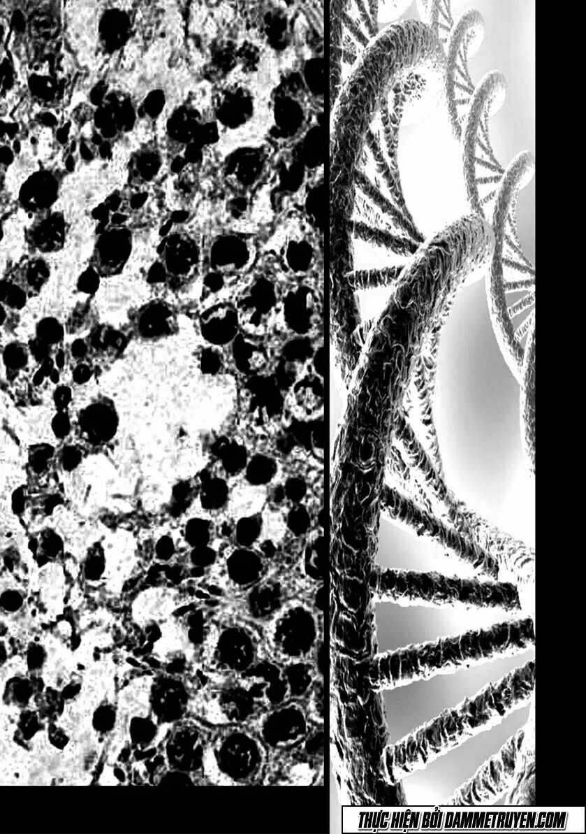 unity of heaven chapter 63 10