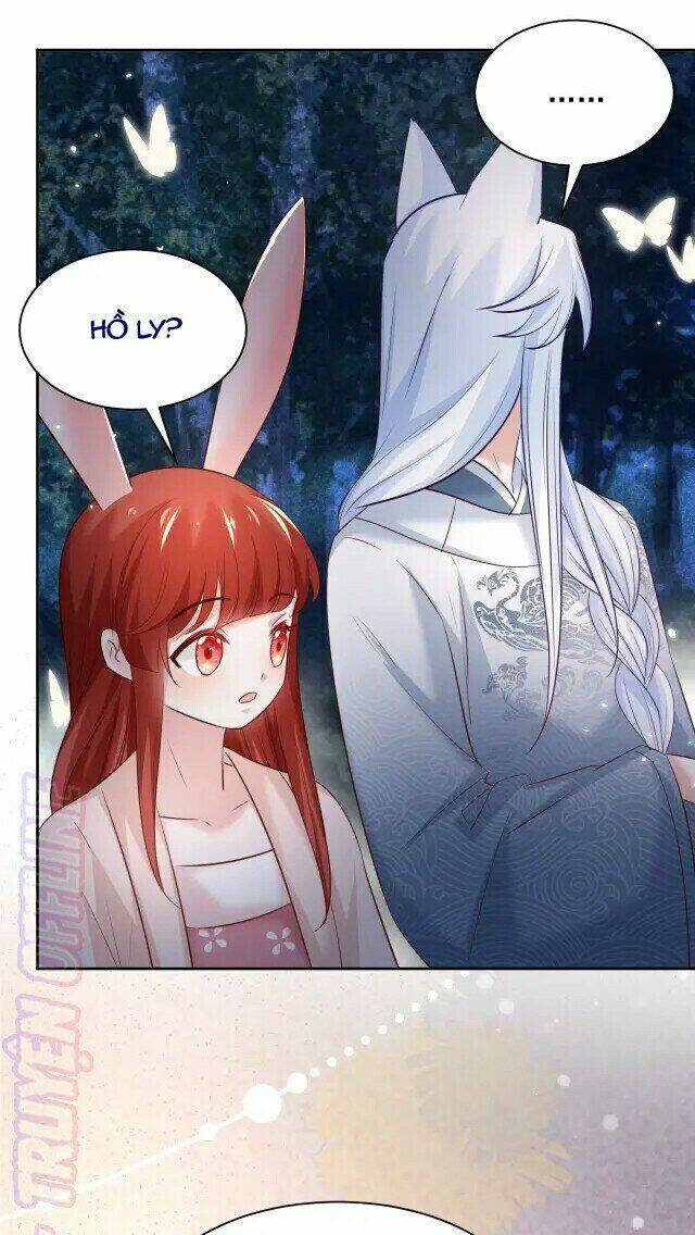 hắc hóa nam chính trực tuyến nuôi thỏ chapter 45 29