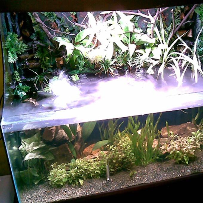 Máy Tạo Khói GEBO 12 đèn led đổi màu tạo khói cho bể cá, tiểu cảnh, hòn non bộ