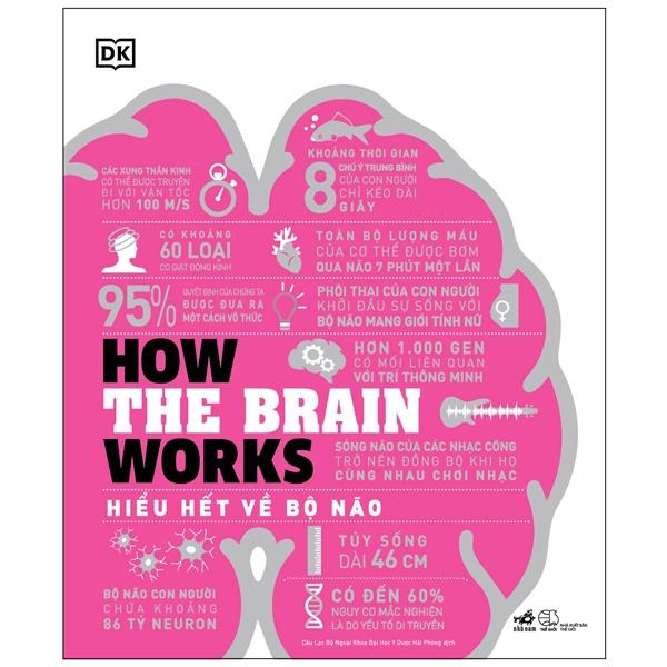 Hình ảnh How The Brain Works - Hiểu Hết Về Bộ Não