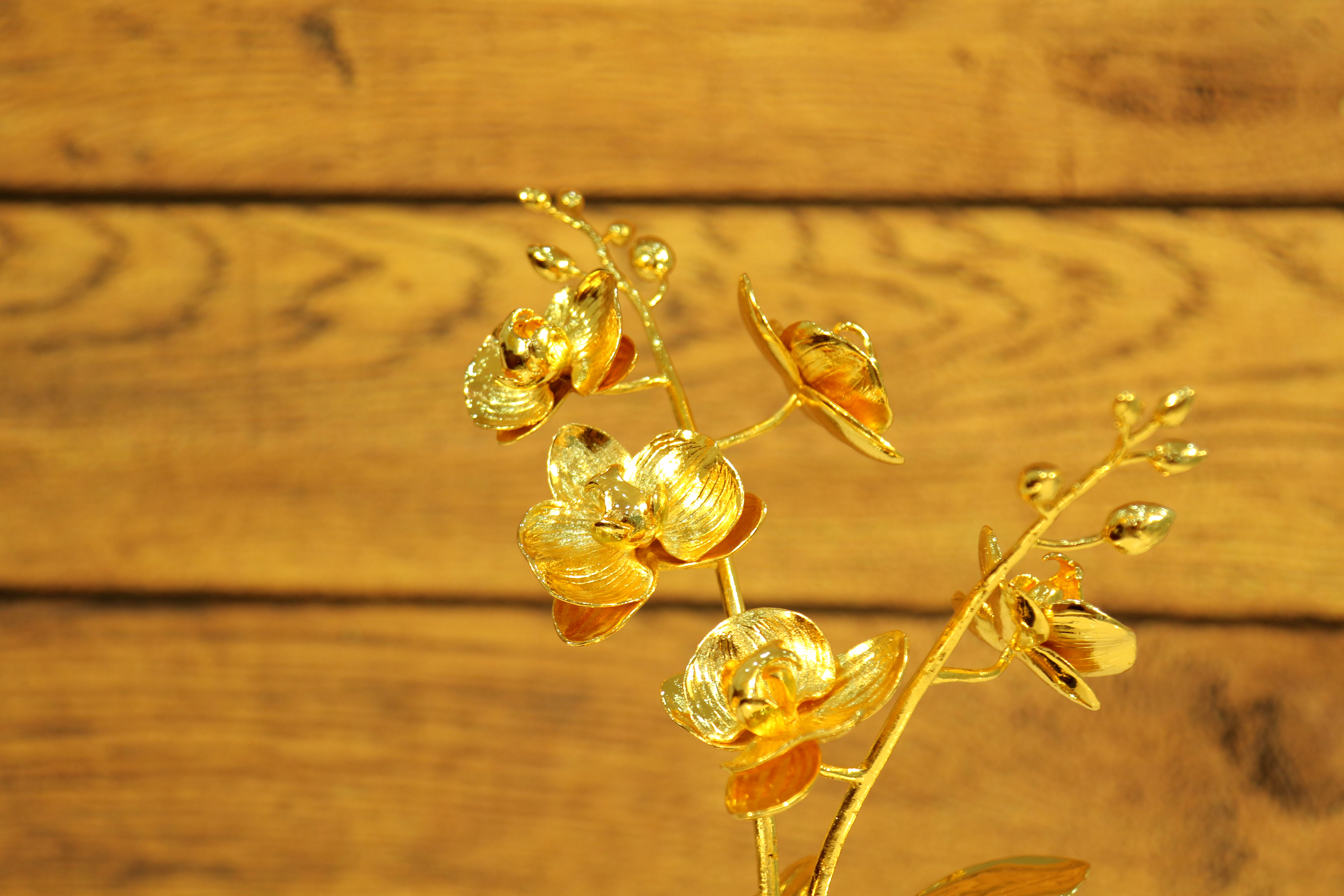 Quà tặng đối tác ý nghĩa - Cây hoa Lan Hồ Điệp mạ vàng 24k