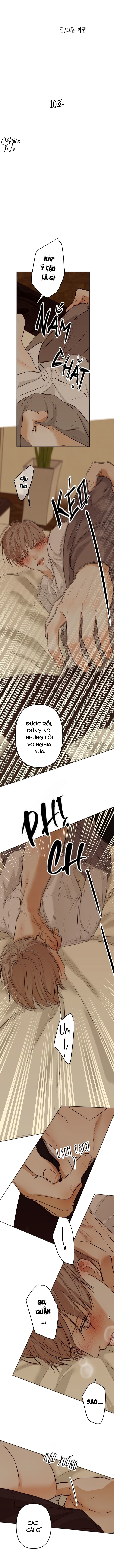 ái tình và dục vọng chapter 10 5