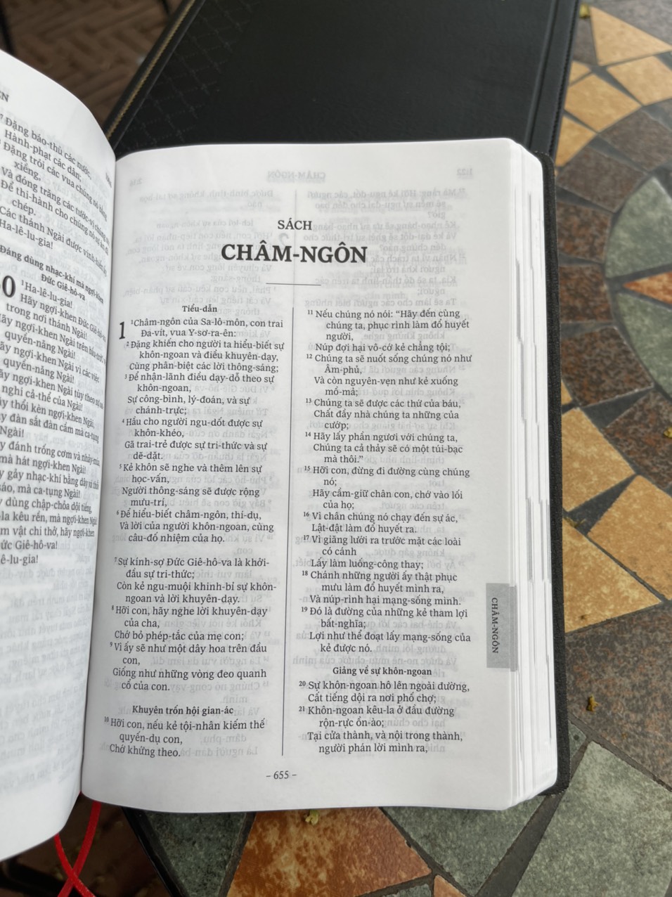 KINH THÁNH - Bản truyền thống 1925 - Bible Society Vietnam - Nhà Xuất Bản Tôn Giáo