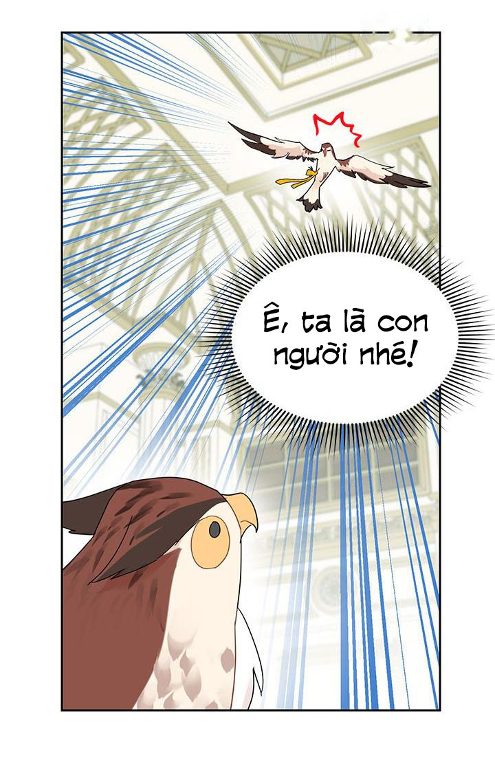 công chúa của loài chim chapter 25 6