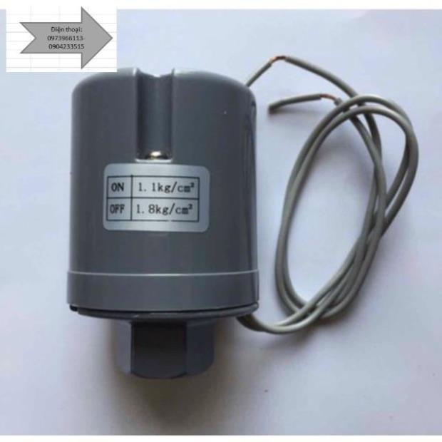 Rơ le máy bơm-ren -14