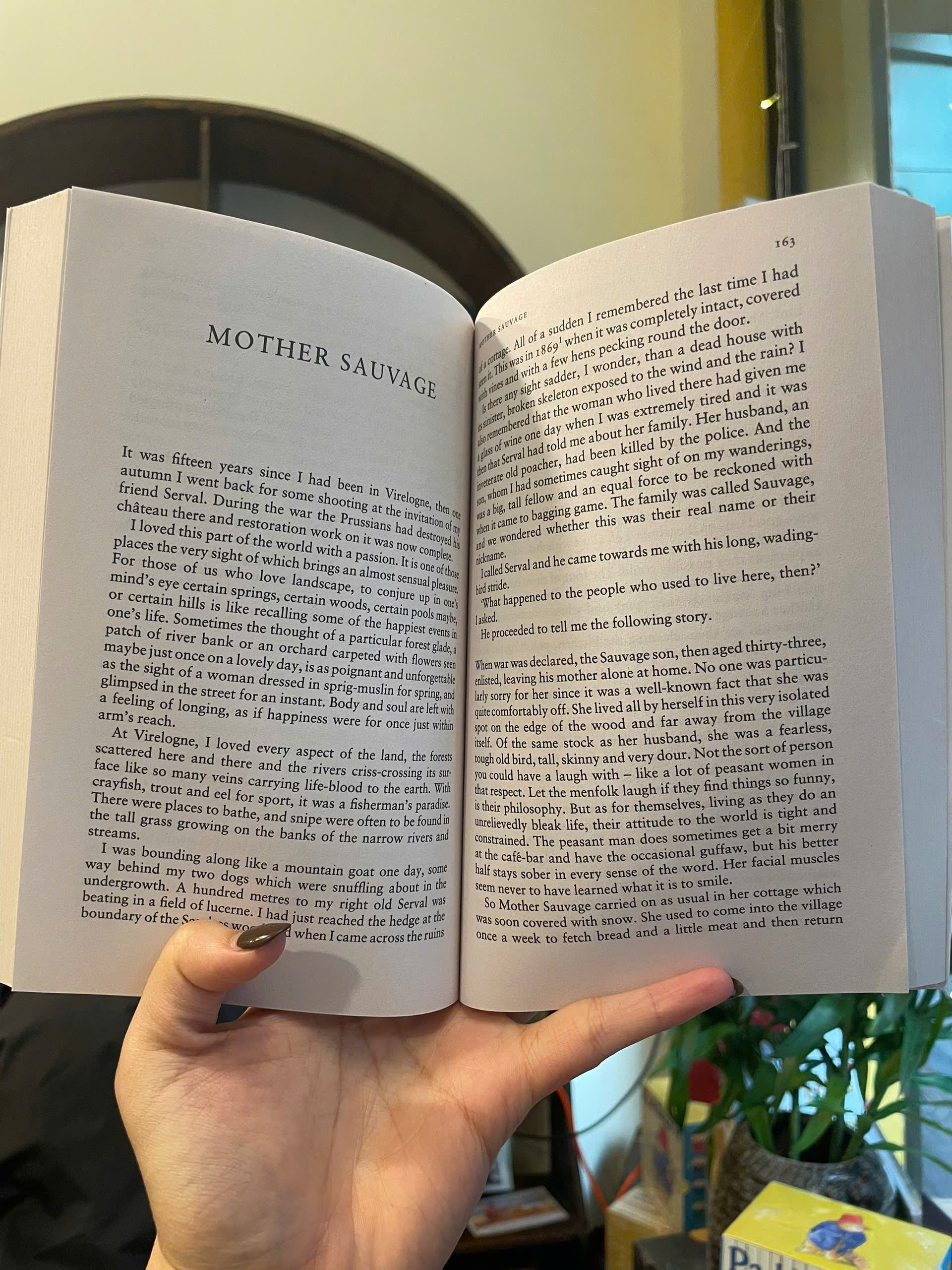 Sách - A Parisian Affair &amp; Other Stories by Guy de Maupassant | Classics / Truyện ngắn Ngoại văn