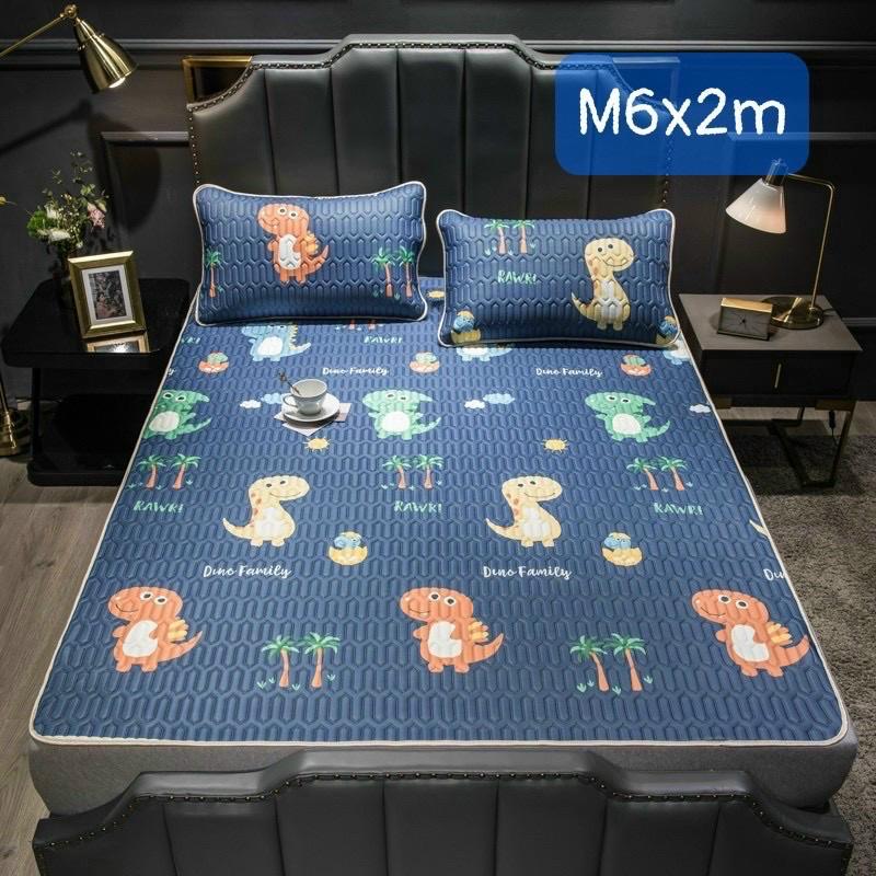 Chiếu điều hoà - 1 chiếu kèm 2 vỏ gôi,1m6.2m