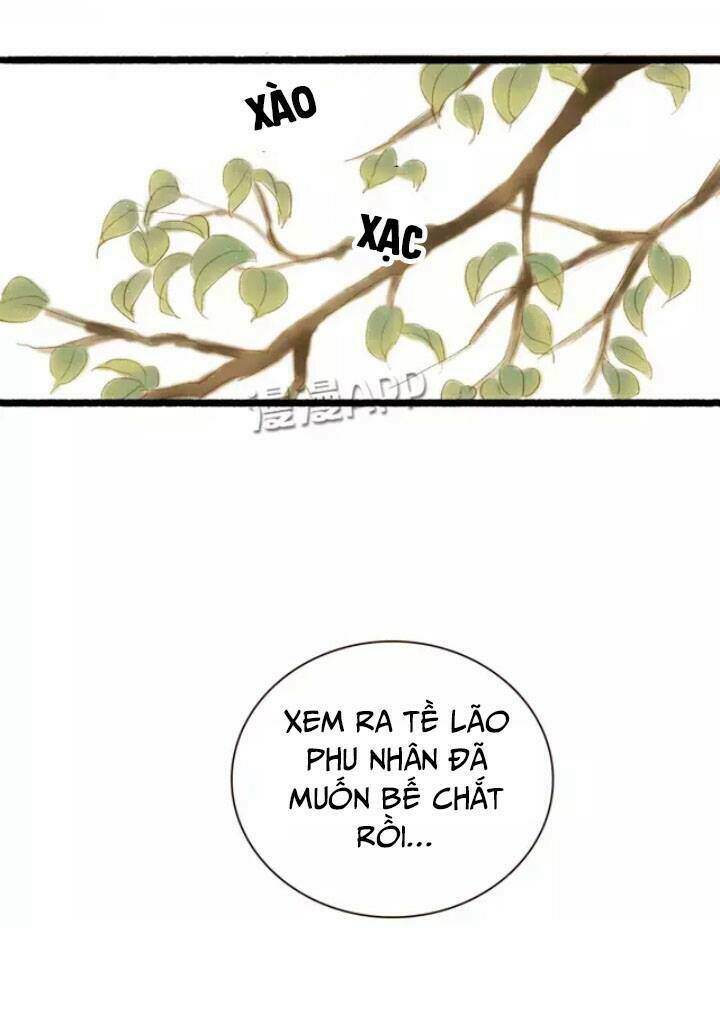 phồn hoa phai màu chapter 1 27