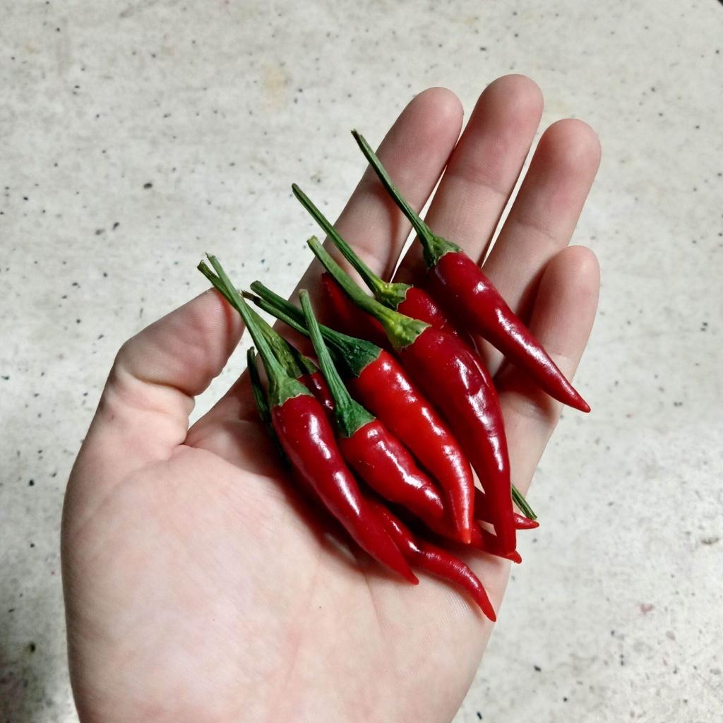 20 Hạt Ớt Hiểm Siêu Cay