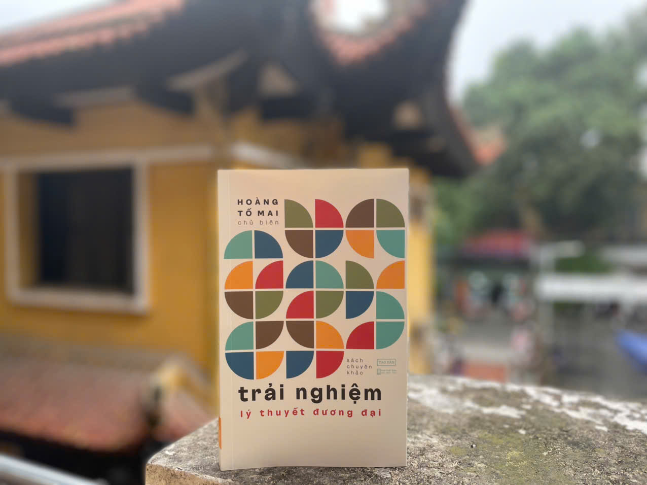 [Sách] Trải Nghiệm Lý Thuyết Đương Đại - Hoàng Tố Mai chủ biên - Sách Tao Đàn