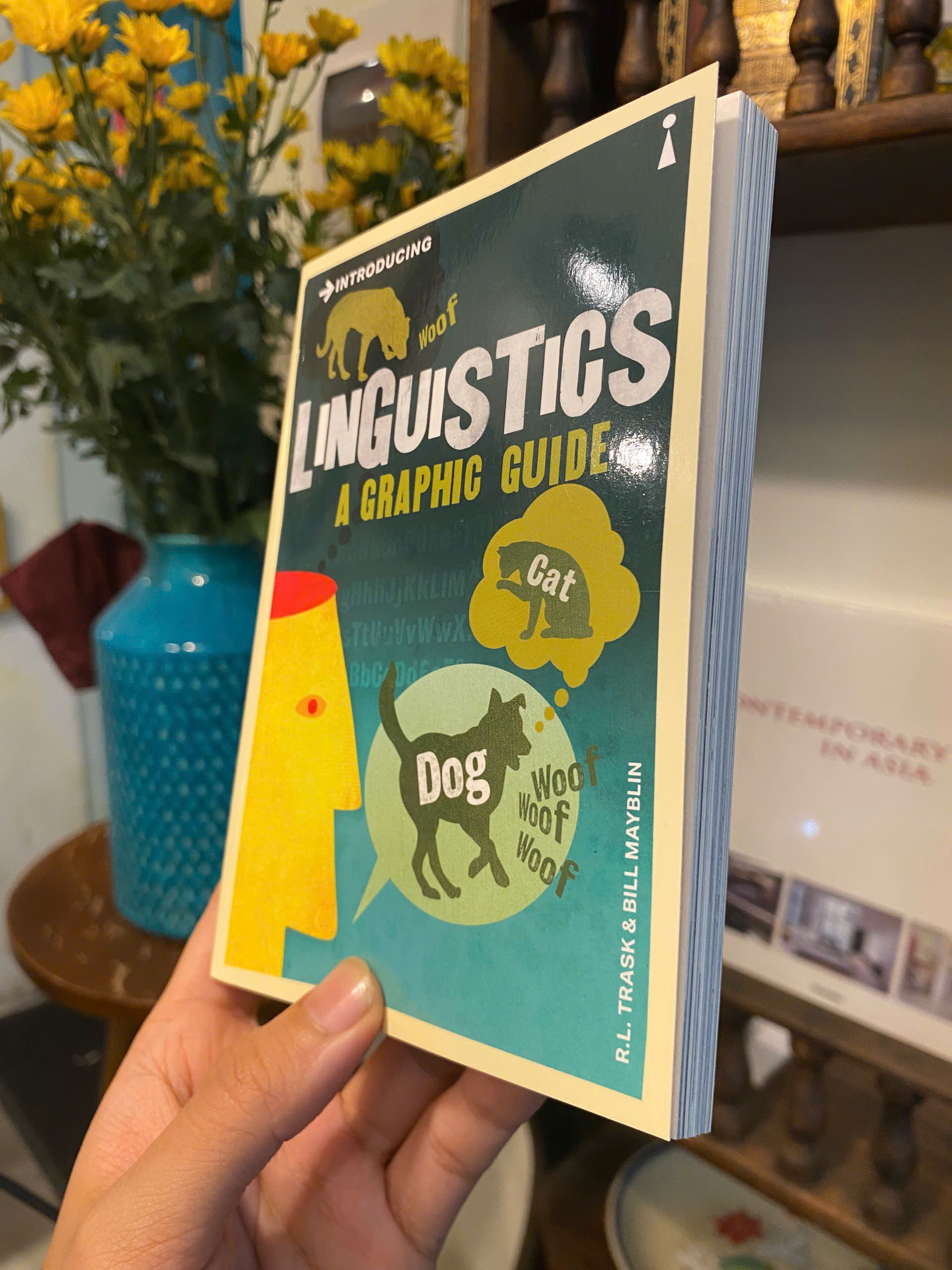 Sách - Introducing Linguistics: A Graphic Guide by R.L. Trask | Nonfiction / Ngoại văn Nhập khẩu