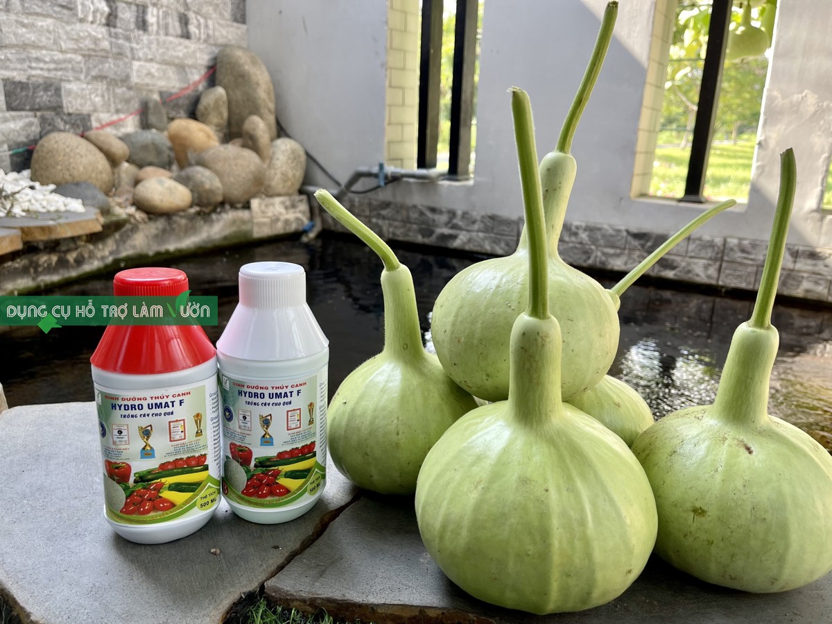 Bộ 2 Chai Dung Dịch Dinh Dưỡng Thủy Canh Cho Cây Ăn Quả