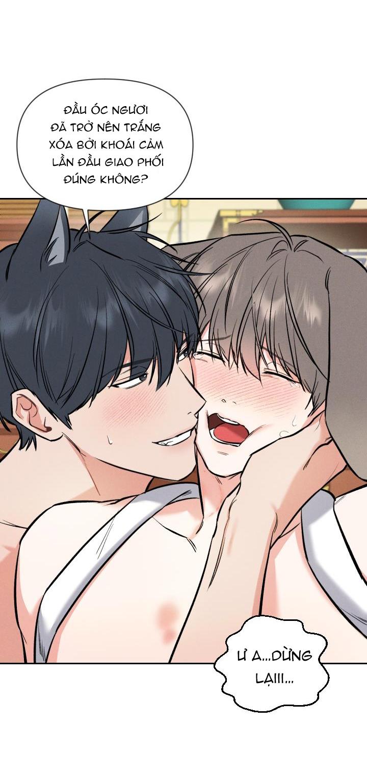 mặt trời của đêm chapter 21.5 40