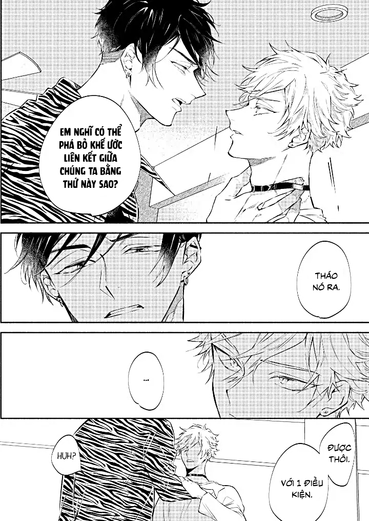 [18+]anh alpha kia! ly hôn đi chapter 1.1 11