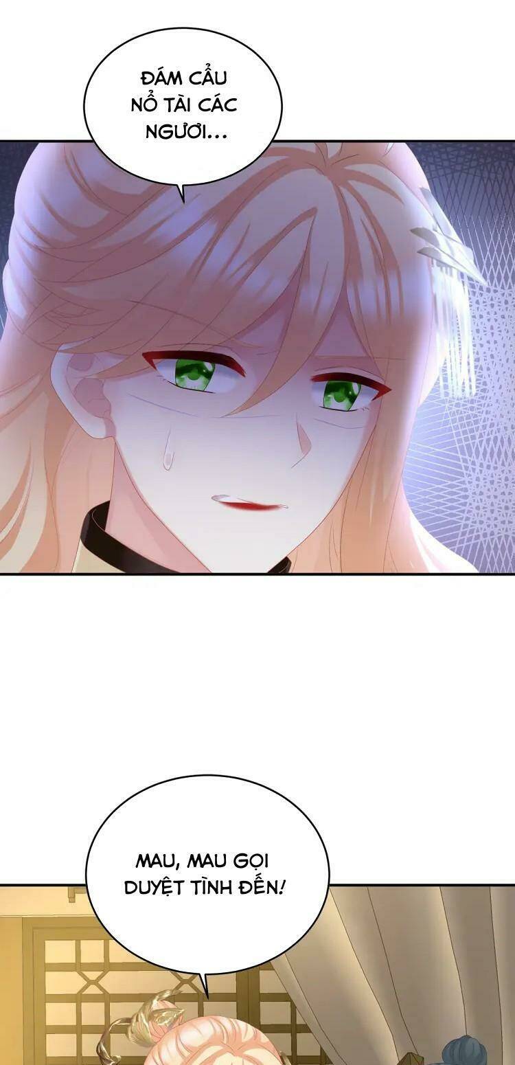 kiều phu có hỉ chapter 51 15