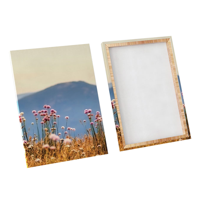 Bộ 3 Tranh Canvas "Đồng Hoa Dại"- W119