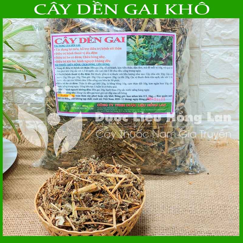 Cây Dền Gai khô sạch đóng gói 500gram