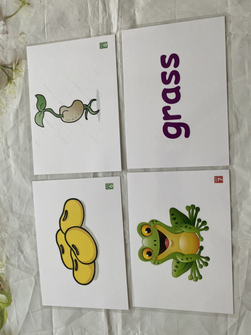 Flashcards Show and Tell 1-2-3 ( Size A5- 2 mặt -ép plastics bền đẹp