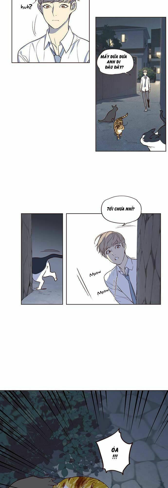 biến thân thành mèo chapter 1 23