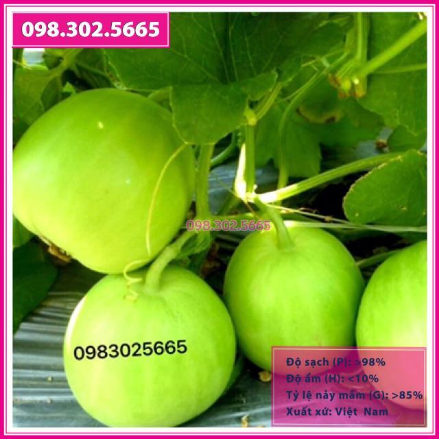 Hạt giống dưa lê siêu ngọt gói 1g
