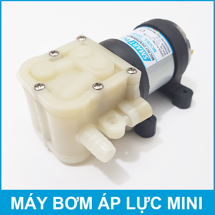 Máy bơm áp lực mini 12V 10W 2L Smartpumps DP-545