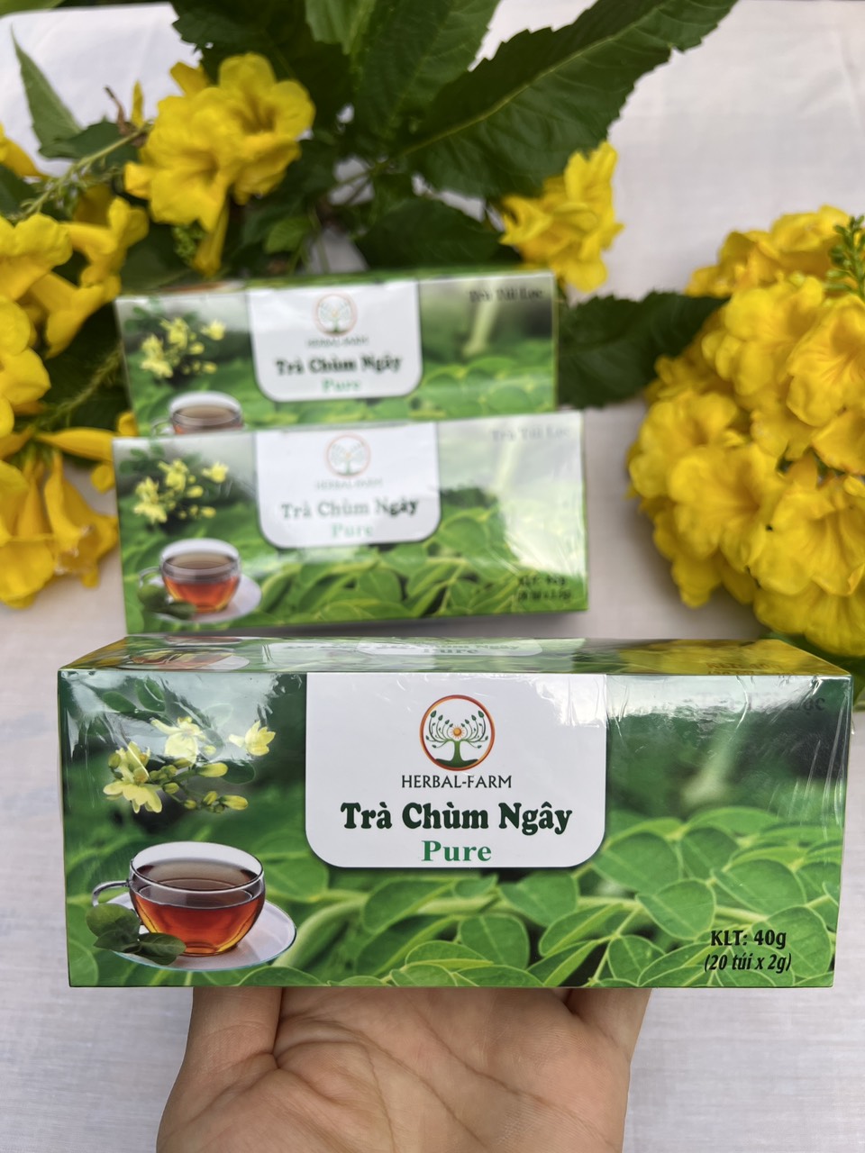 TRÀ CHÙM NGÂY HERBAL FARM TÚI LỌC