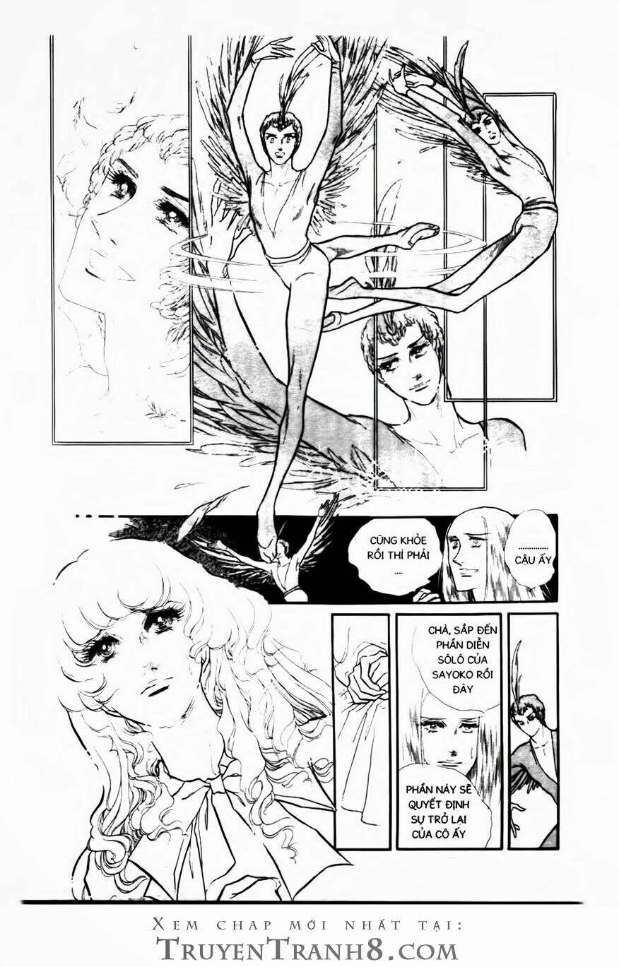 swan - vũ khúc thiên nga chapter 81 9