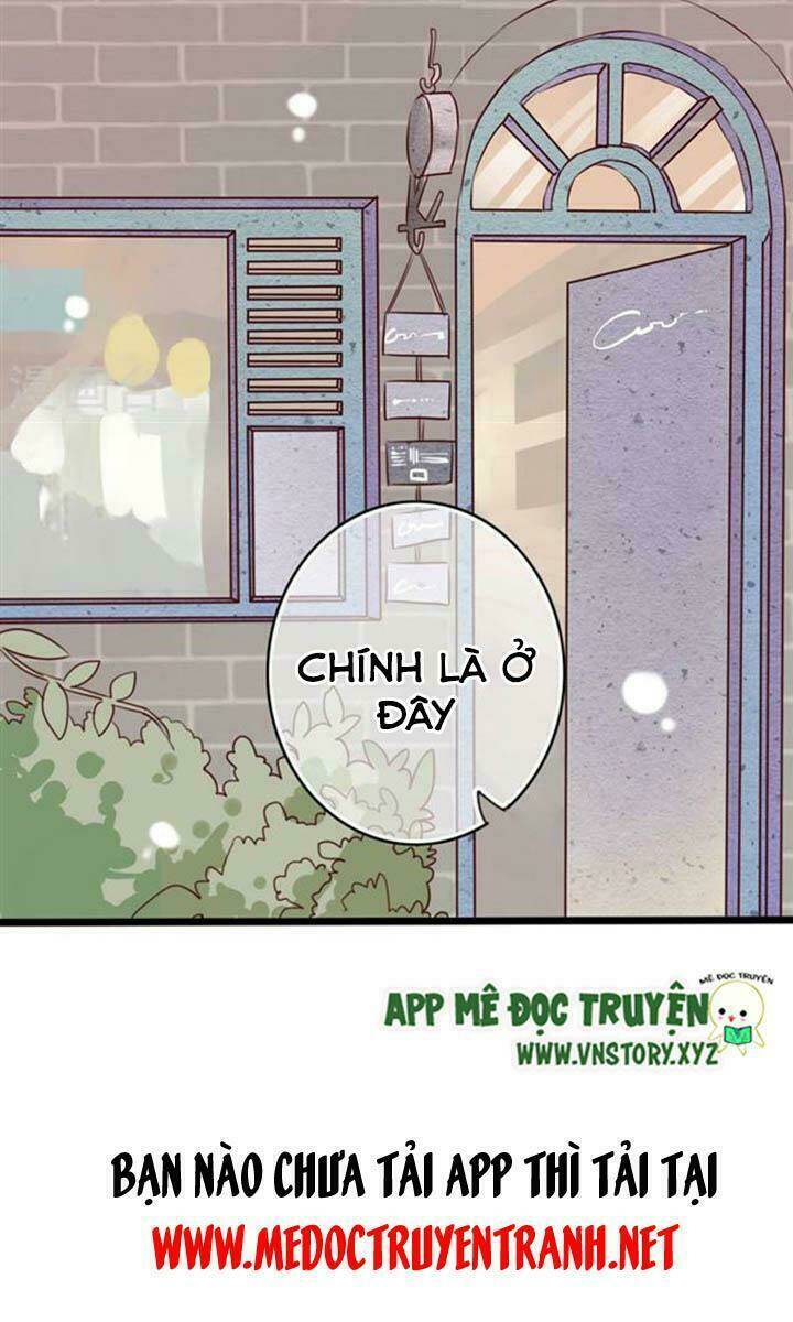 sau con mưa mùa hạ chapter 28 23